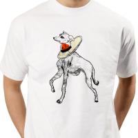 iIdem sur T.shirt
