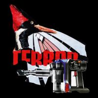 Terror