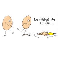 le debut de la fin