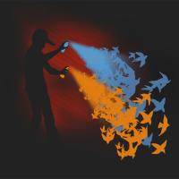 birds in paint spray