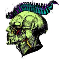 psychedelic anatomy