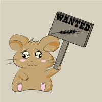 hamster