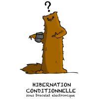 LaMarmotte Mise a Jour!