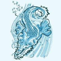 dragon koï