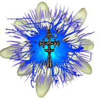 croix kitch