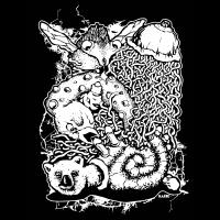 Medutas