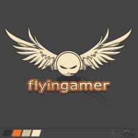 flyingamer