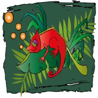 cameleon