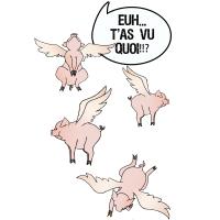 des petits cochons