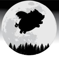cochon de lune