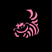 the cat