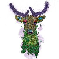 l'esprit de la forêt
