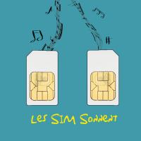Les Sim Sonnent