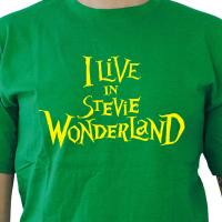 Stevie Wonderland