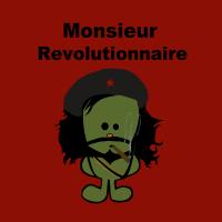 Mr revolutionnaire