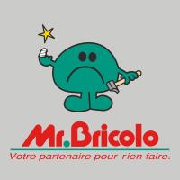 Monsieur Bricolo