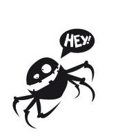 Spider Hey !