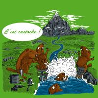c'est castoche