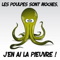 Les poulpes sont moches