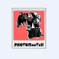 Le PHOTOMouTON