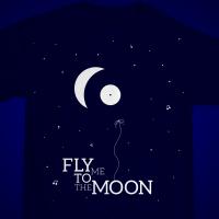 Fly me to the moon !