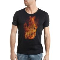 Lion on fire