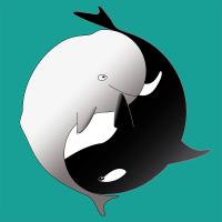 Yin Yang Cétacés