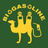 BioGasoline