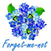 Forget-Me-Not