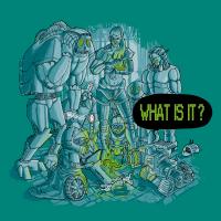 What is it ?