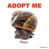 adoptme