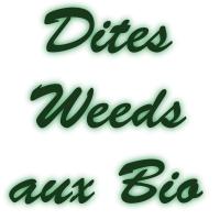 dites oui