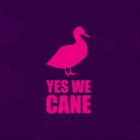 YES WE CANE
