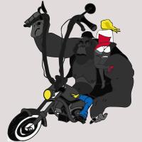 Monkey Bike