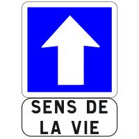Sens de la vie