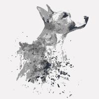 bullterrier