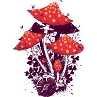 Les champignons