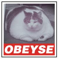 OBEYZE