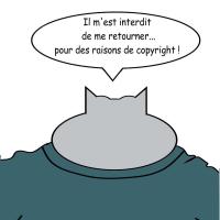INCOGNITO