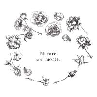 Nature (ivre) morte