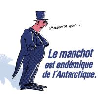 MANCHOT
