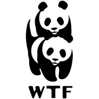 wtf panda