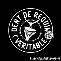 Dent de Requin en Résine Véritable !