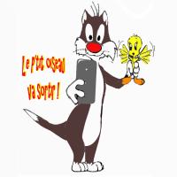 Le p'tit oiseau va sortir