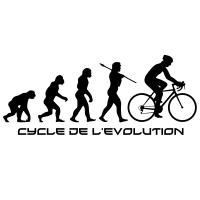 Evolution cycle