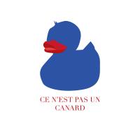 Can not be a canard