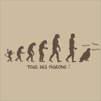 Tous des pigeons !