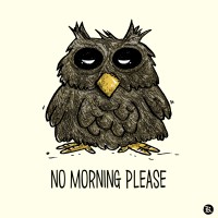No morning