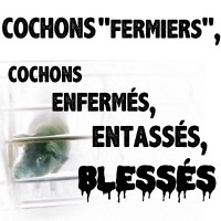 Fermes de tortures
