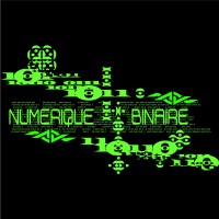 numérique binaire